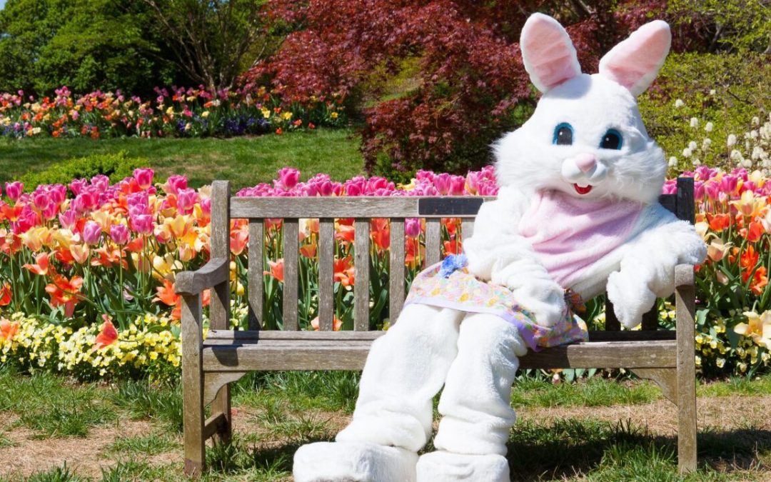 Easter Bunny Picnic